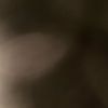 adrianfvck15