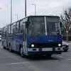 c1citaro.ikarus412fan