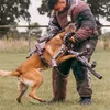 furythemalinois