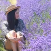 jenniferjlee4