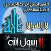 user62723546031130
