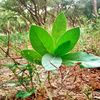 moussaoumar14