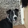 lukashoracek7