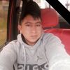 wilsonpelico2