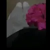 alejandro_kik