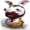 xylom
