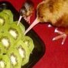 meaningofkiwi