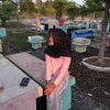 wilda_cl