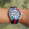 hereditary_watches