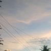 fitohapit0