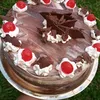 mirtaromero79