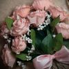 soly.albadri