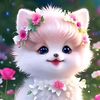 user6804613210097