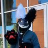 your_raptor_echo