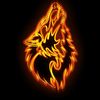 abdylaziz___8_8_8