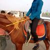 misbhauddin6984