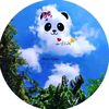 hamid_write1