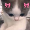 pinkieleeiy