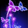 user1843816626210