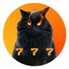 6cat777