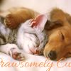 pawsomely_cute