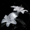 azariah_028