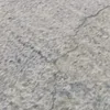 bss98197