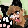 n9rflk