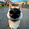 kevin_kevin64