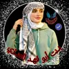 user61701805744131