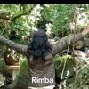 rimba.putra.sibel