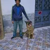 nabilbrahim31