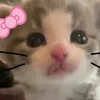 fp_nana121