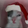 mr_ksenua