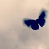 q.m.94