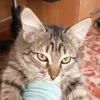 bloomkats7