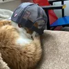 catrover1