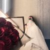 shahdaltohamy2222