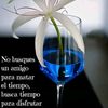 user2397426248255