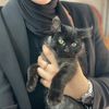 aminaa2783