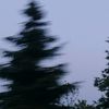 valeru881