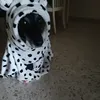 nala2778