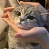 _zoeyil