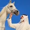 al_gaet