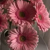 nassira.ksar