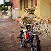 joshridebike