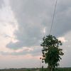 deeedya