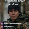 andrewlassromfernandez