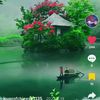 see