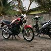 scorpio_black225
